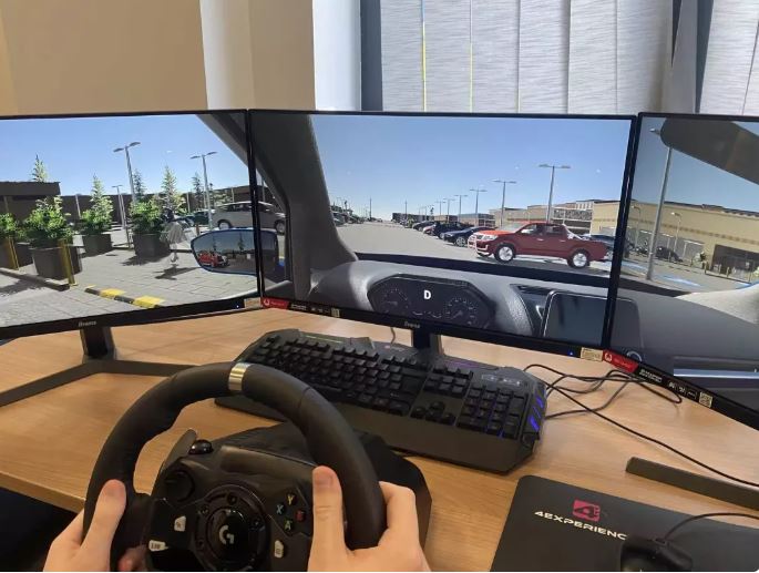 Professional driving simulator